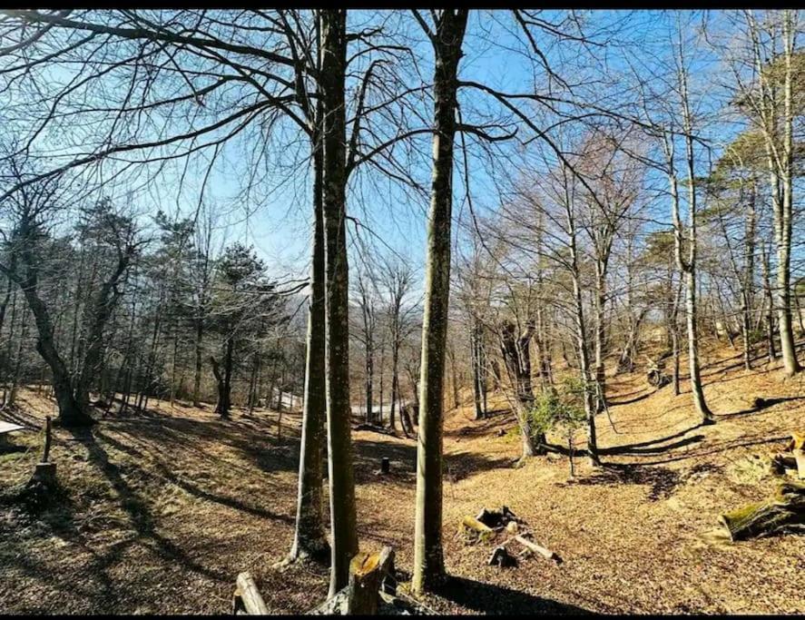 Il Villaggio Dei Puffi Bardineto Bagian luar foto