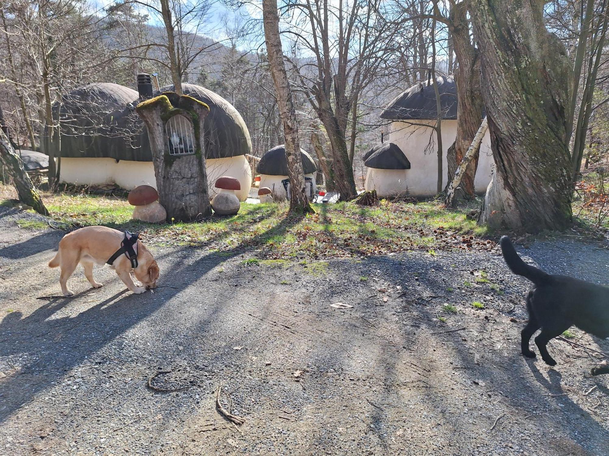 Il Villaggio Dei Puffi Bardineto Bagian luar foto